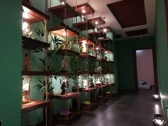 -MintsThai沁泰都市SPA·泰式按摩(公园1903店)