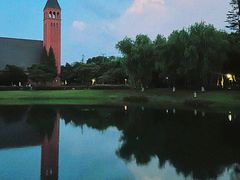 -贡湖湾湿地公园