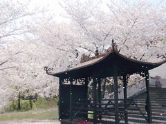 -苏州上方山国家森林公园