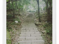 -紫金山山顶公园