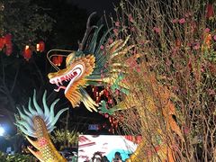 -越秀西湖花市(广州城市广场花卉店)