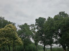 -泗洪洪泽湖湿地景区