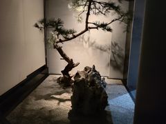 -山塘渡·苏式园林餐厅