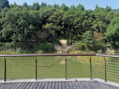 -新安江山水画廊风景区