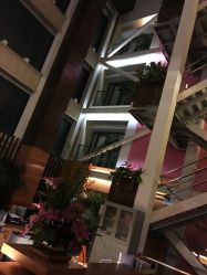 -知爱母婴专护全套房月子会所(新华路店)