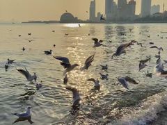 -郑庄脂渣海鲜楼(九水路店)