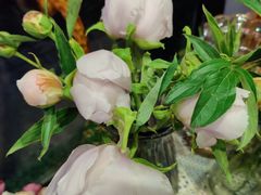 -拾花记花艺·求婚·订婚·生日布置(高新店)
