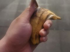 -海派健身(洋河力帆店)