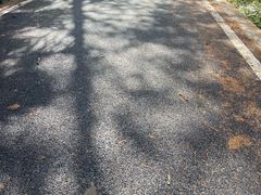 -山王坪喀斯特国家生态公园