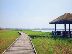 -西青郊野公园