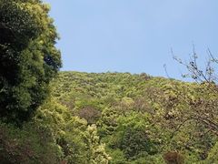 -杭州半山国家森林公园