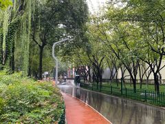 -西安市长乐公园