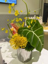 -明潪Selfology升维护理中心