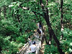 -白草畔自然风景区