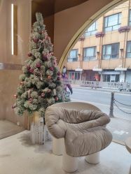 -本小姐美学·半永久纹眉野生眉