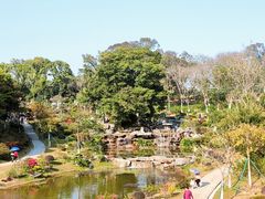 -东莞植物园