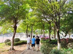 -广东科技学院(南城校区)