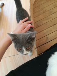 -萌宠亲子动物乐园(槐房万达店)