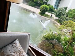 -广富林宰相府酒店·水云间