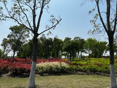 -春花秋色城市公园