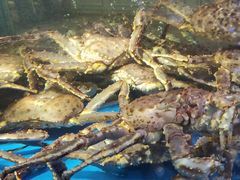 -蟹之国·精品蟹料理(极地店)