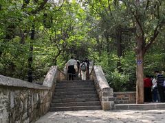 -千佛山风景名胜区