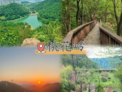 -橘子洲景区