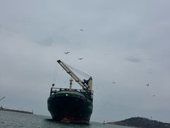 -海驴岛(荣成市)