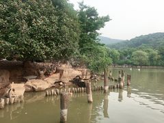 -无锡动物园·太湖欢乐园