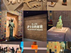 -上海博物馆(人民广场馆)