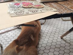 -PIGGYOO人生四格漫画店(朝外店)