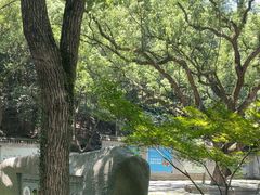 -宁波市保国寺古建筑博物馆