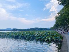 -北山街历史文化街区