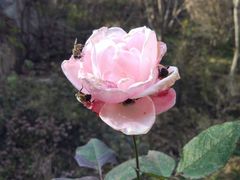 -陕西省红河谷森林公园