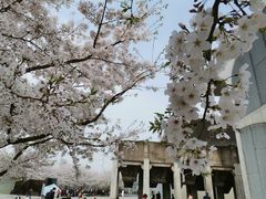 -龙美术馆西岸馆-停车场