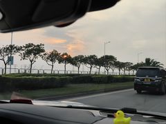 -宝安西湾红树林湿地公园