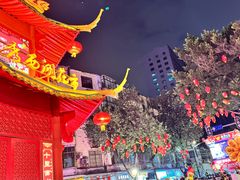 -越秀西湖花市(广州城市广场花卉店)