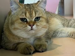 -茂业百货(东门店)