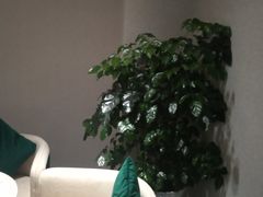 -圣和足道·瑶浴SPA·养生茶府(光华店)