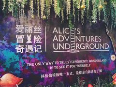 -爱丽丝冒险奇遇记