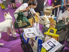 -东浩兰生上海世博展览馆