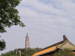-顺峰山公园