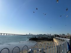 -星海广场