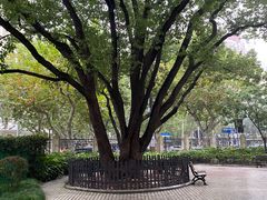 -徐家汇源景区-衡山公园