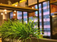 -黄记煌三汁焖锅(广州曜一城店)