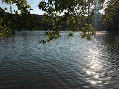 -紫霞湖公园