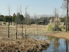 -广富林郊野公园