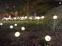 -银泰百货(厦门国贸中心店)