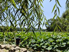 -承德避暑山庄景区