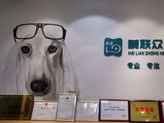 -美联众合动物医院·24h转诊中心